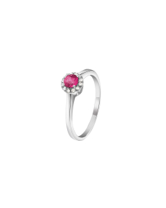 DREAM COLORE